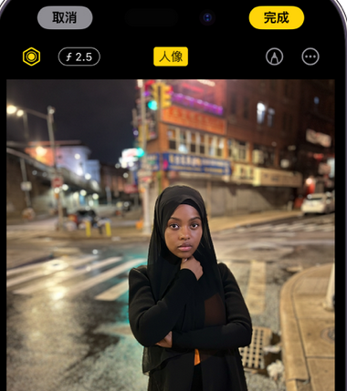 昌都苹果15服务店分享如何在iPhone15系列机型拍摄照片中添加人像效果 