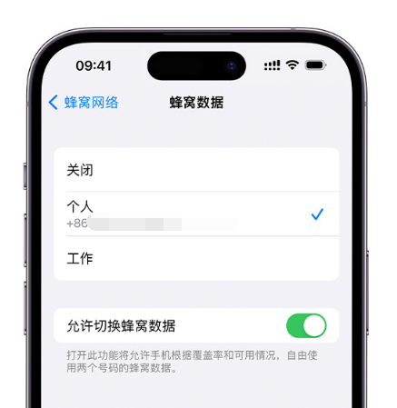 昌都苹果维修服务分享如何在iPhone上使用双卡 